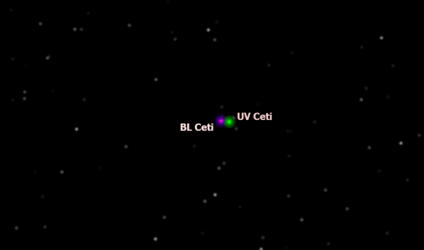 UV and BL Ceti